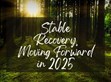 穩(wěn)健復蘇，2025向前行                                                                                                                                          